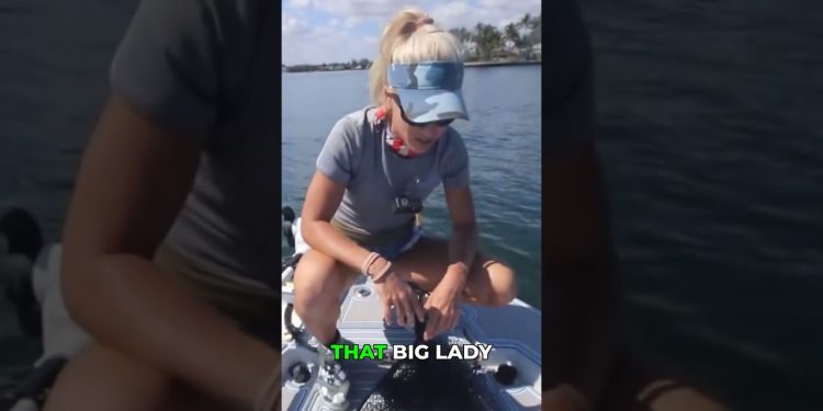 Finally Hooked the MONSTER Bluefish on a Chunk Bait