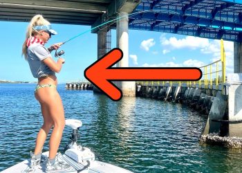 Fish ATTACKS Caught on Camera- You Wont Believe What Happened!