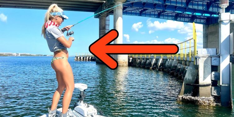 Fish ATTACKS Caught on Camera- You Wont Believe What Happened!