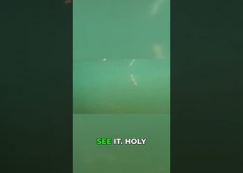 Giant Bluefish Won’t Stop Attacking Our Hooked Fish!