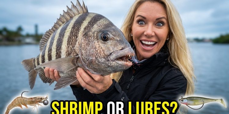 LIVE Shrimp vs Tiny Lures | Inshore Winter Florida Fishing