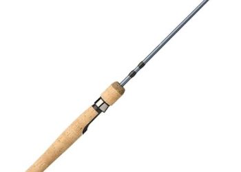 Pflueger President Spinning Fishing Rod