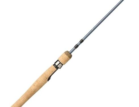 Pflueger President Spinning Fishing Rod
