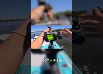 Always Have a Plan B! Inshore Trolling Success!