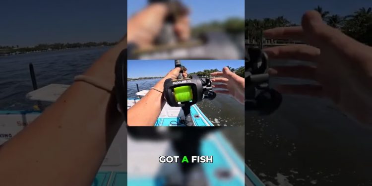 Always Have a Plan B! Inshore Trolling Success!