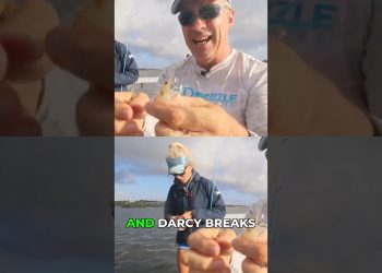 Fishing Tips: Hooking Shrimp & Keeping Bait on Longer!