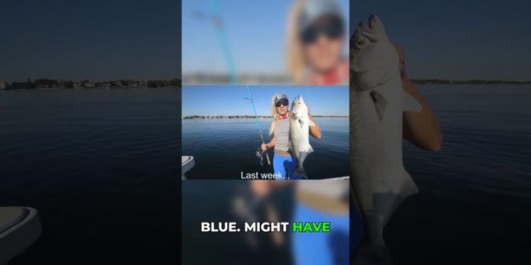 Lost a Big One! The Mystery Fish That Broke My Line 😱