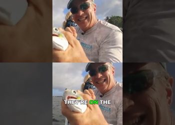 Product Review: Myolite Massage Gun for Post-Fishing!