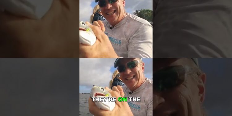 Product Review: Myolite Massage Gun for Post-Fishing!