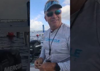 Small Mangrove Snapper: Is it Worth Keeping? 🎣