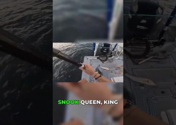 Snook Queen Strikes Again! 👑🎣