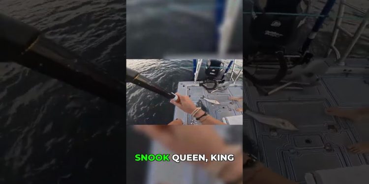 Snook Queen Strikes Again! 👑🎣