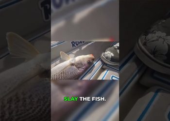 The Goofy Jig: My Secret Weapon for Catching Fish! ✨