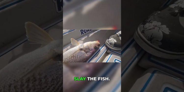 The Goofy Jig: My Secret Weapon for Catching Fish! ✨