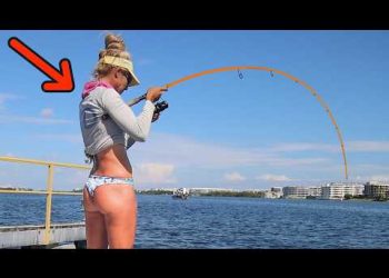 Tossed a Tiny Shrimp in a Public Waterway and THIS Happened!