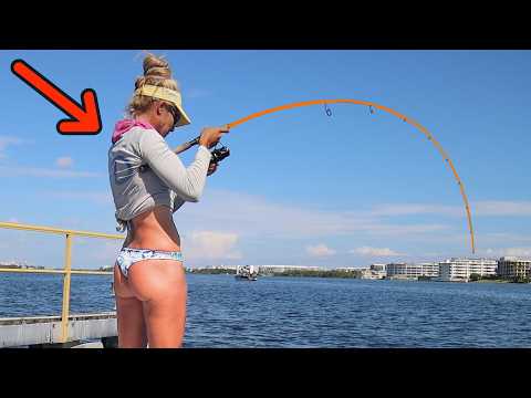 Tossed a Tiny Shrimp in a Public Waterway and THIS Happened!