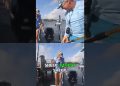 Big Sheepshead SLAMS the Jig at the Dock!
