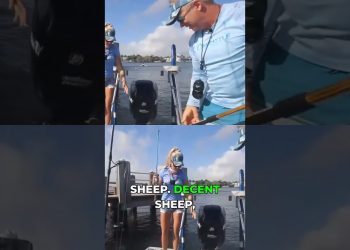 Big Sheepshead SLAMS the Jig at the Dock!