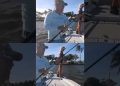 Birds Were Diving So We Cast In – CHAOS!