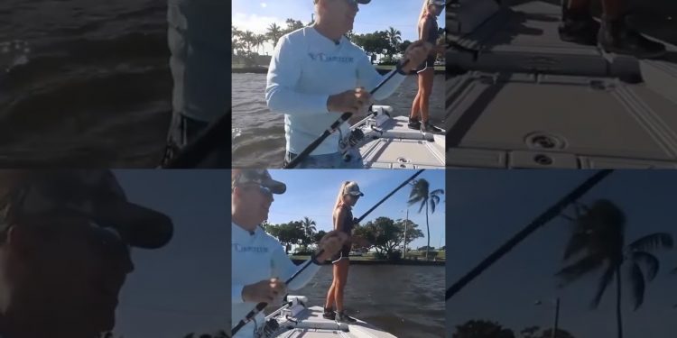 Birds Were Diving So We Cast In – CHAOS!