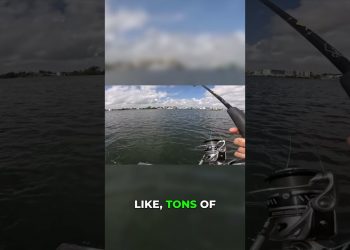 Bluefish Goes CRAZY While I Share My Story