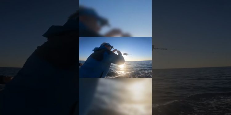 Monster Barracuda Fight! Double Hookup!