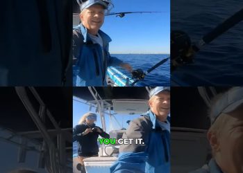 Shark Encounter Continues! What’s On The Line?