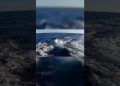 Shark Release Dilemma! Ethics of Big Game Fishing!