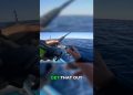 Unexpected Shark on Trolling Gear! Rare Catch!