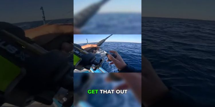 Unexpected Shark on Trolling Gear! Rare Catch!