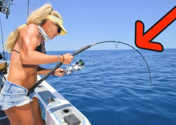 We Haven’t Done This in 12 WEEKS!! Spring Time Deep Sea Fishing