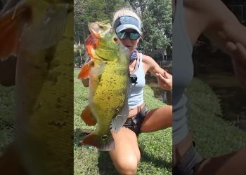 Girl catches MASSIVE Peacock in HOA Pond
