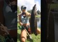 Illegal? She released an INVASIVE Snakehead!!