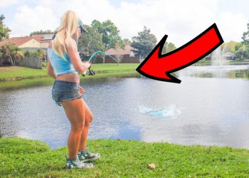 These Florida Urban Canals Are LOADED With Exotic Fish! (Illegal Fishing?)