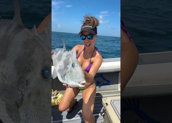 🎣👀🩷