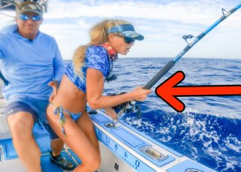 8 Hours of Mayhem! We Hooked Onto a Giant at This New Spot!