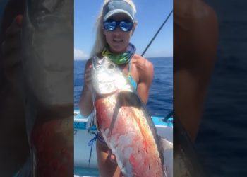 Blackfin Tuna caught on the @Piscifun Kraken X electric reel!🐟💪 #piscifun