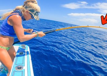 Florida Couple’s Deep Sea Fishing Adventure!! Insane Mahi Mahi Catch