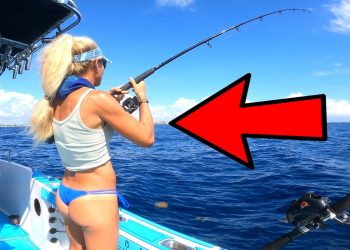 We Dropped Live Baits and This Happened Immediately!