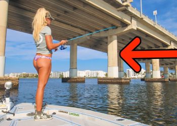 Fishing Massive Structure for Dinner! (Catch & Cook)