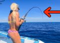 It Took 37 Years To Catch This Fish! (Deep Sea Wreck Fishing)