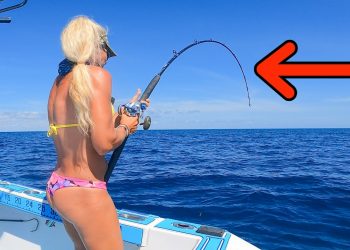 It Took 37 Years To Catch This Fish! (Deep Sea Wreck Fishing)