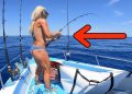 MASSIVE Sharks Surround Couples TINY Boat!!