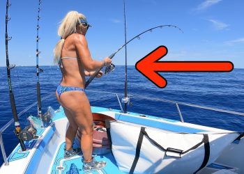 MASSIVE Sharks Surround Couples TINY Boat!!