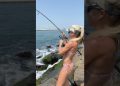 ⁠@Piscifun NautiX catching bluefish on the rocks in Long Island, NY!🐟 Use code 👉Darcizzle20