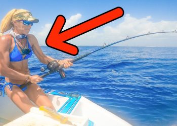 Insane Shark Activity! We Couldn’t Get Our Fish to the Boat