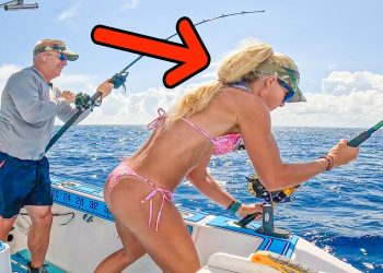 The Secret Spot Fishermen Don’t Want You to Know!