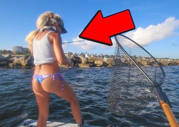 We Found a Secret Public Spot! Pitched a Live Bait at the Rocks & This Happened!