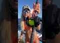 @Piscifun reels doing work! Catching fish trolling