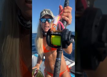 @Piscifun reels doing work! Catching fish trolling